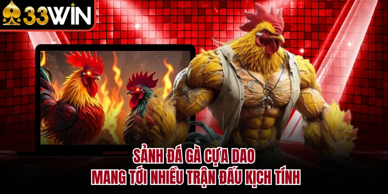 Sảnh đá gà cựa dao mang tới nhiều trận đấu kịch tính