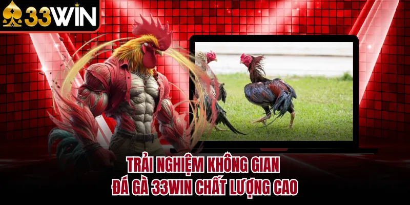 Trải nghiệm không gian đá gà 33WIN chất lượng cao